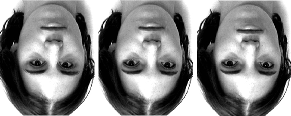 inverted faces