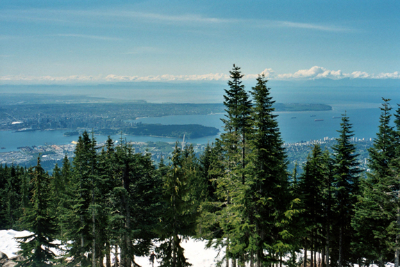Grouse Mountain view
